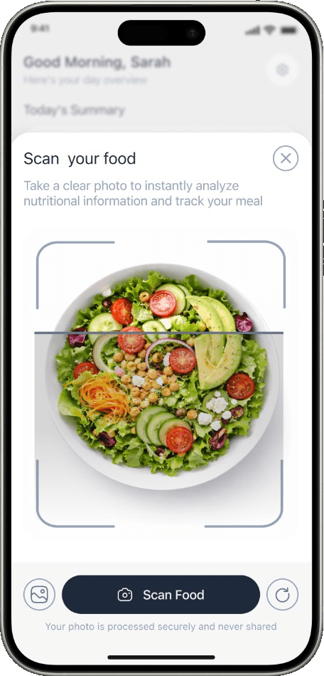 Scan your food: camera viewfinder with meal photo and scan action
